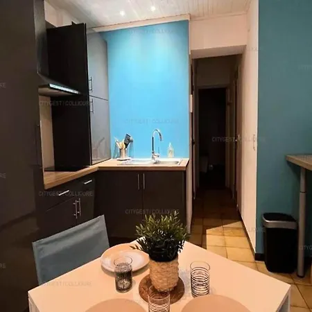 2 For 2 People Apartment Collioure